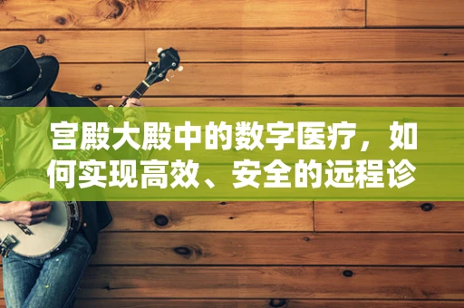 宫殿大殿中的数字医疗，如何实现高效、安全的远程诊疗？