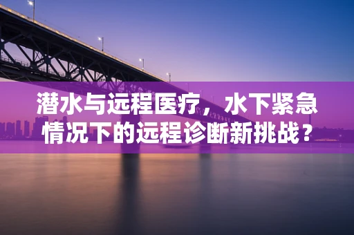 潜水与远程医疗，水下紧急情况下的远程诊断新挑战？