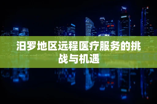 汨罗地区远程医疗服务的挑战与机遇