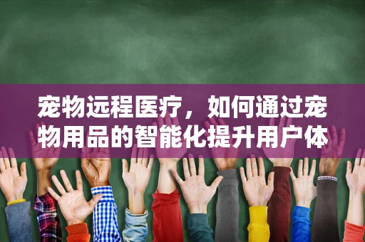 宠物远程医疗，如何通过宠物用品的智能化提升用户体验？