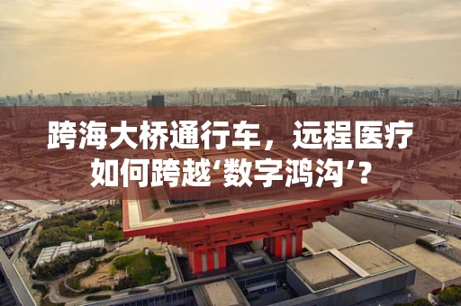 跨海大桥通行车，远程医疗如何跨越‘数字鸿沟’？