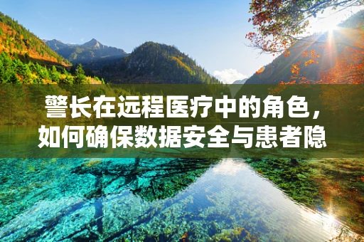 警长在远程医疗中的角色，如何确保数据安全与患者隐私？