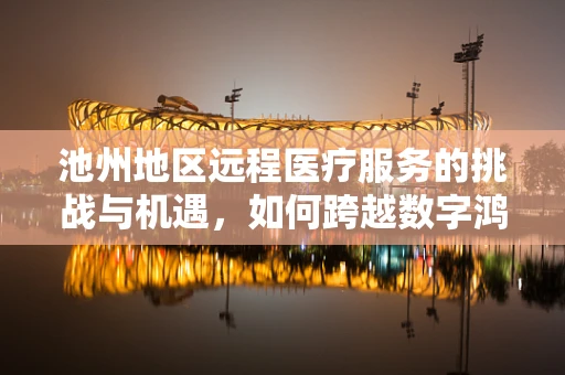 池州地区远程医疗服务的挑战与机遇，如何跨越数字鸿沟？