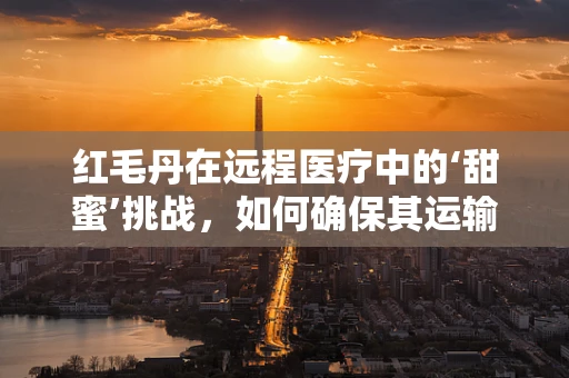 红毛丹在远程医疗中的‘甜蜜’挑战，如何确保其运输与储存的保鲜性？