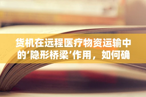 货机在远程医疗物资运输中的‘隐形桥梁’作用，如何确保高效与安全？