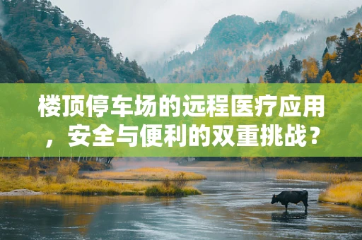 楼顶停车场的远程医疗应用，安全与便利的双重挑战？