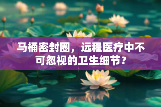 马桶密封圈，远程医疗中不可忽视的卫生细节？