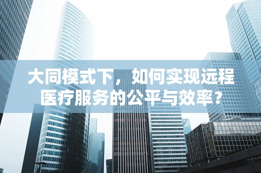 大同模式下，如何实现远程医疗服务的公平与效率？