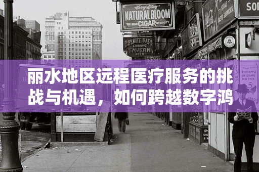 丽水地区远程医疗服务的挑战与机遇，如何跨越数字鸿沟？