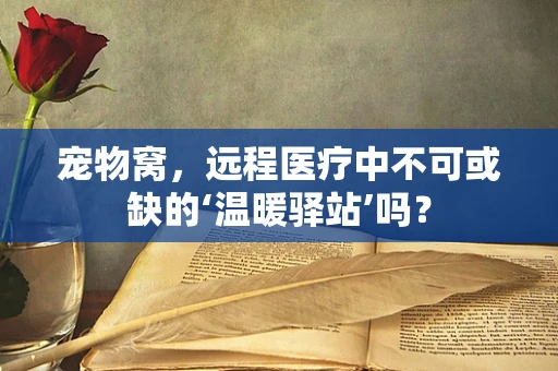 宠物窝，远程医疗中不可或缺的‘温暖驿站’吗？
