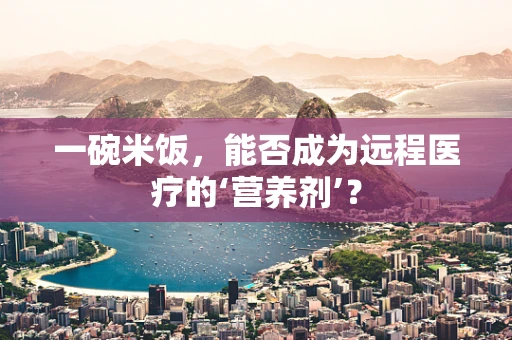 一碗米饭，能否成为远程医疗的‘营养剂’？