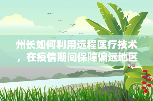 州长如何利用远程医疗技术，在疫情期间保障偏远地区民众的健康？