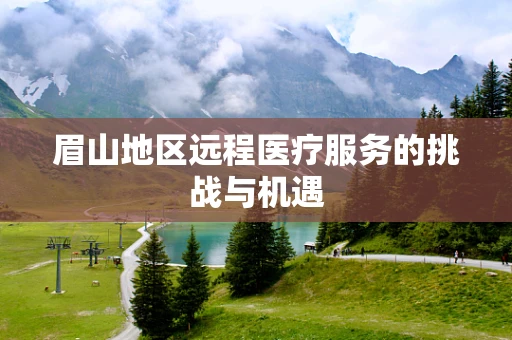 眉山地区远程医疗服务的挑战与机遇