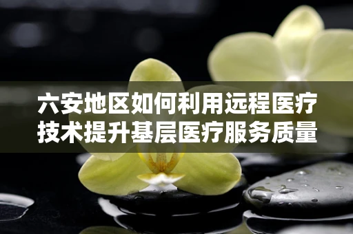 六安地区如何利用远程医疗技术提升基层医疗服务质量？