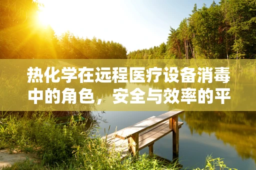 热化学在远程医疗设备消毒中的角色，安全与效率的平衡点在哪里？