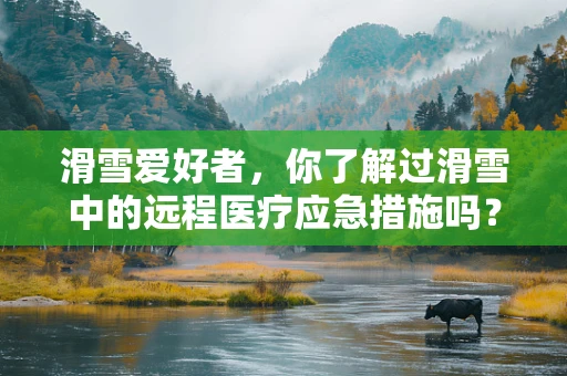 滑雪爱好者，你了解过滑雪中的远程医疗应急措施吗？