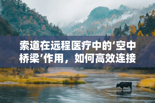 索道在远程医疗中的‘空中桥梁’作用，如何高效连接偏远地区与医疗资源？