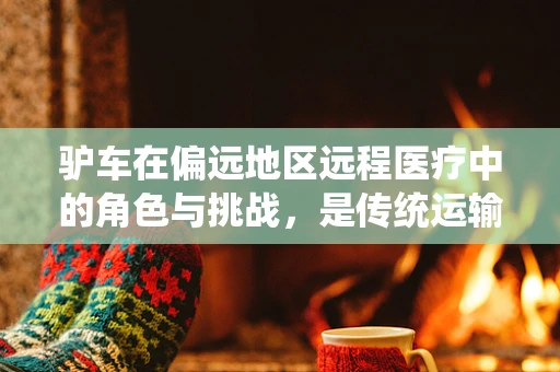 驴车在偏远地区远程医疗中的角色与挑战，是传统运输的救星还是现代医疗的障碍？