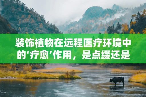 装饰植物在远程医疗环境中的‘疗愈’作用，是点缀还是必需？
