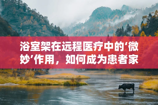 浴室架在远程医疗中的‘微妙’作用，如何成为患者家庭护理的隐形帮手？