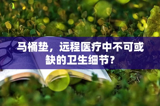 马桶垫，远程医疗中不可或缺的卫生细节？