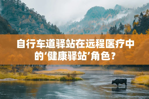 自行车道驿站在远程医疗中的‘健康驿站’角色？
