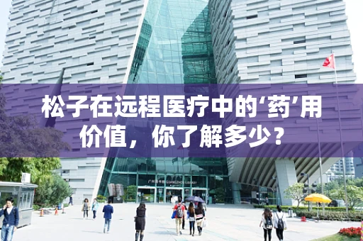 松子在远程医疗中的‘药’用价值，你了解多少？