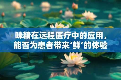 味精在远程医疗中的应用，能否为患者带来‘鲜’的体验？