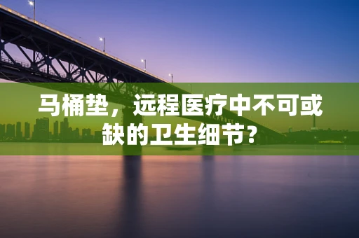 马桶垫，远程医疗中不可或缺的卫生细节？