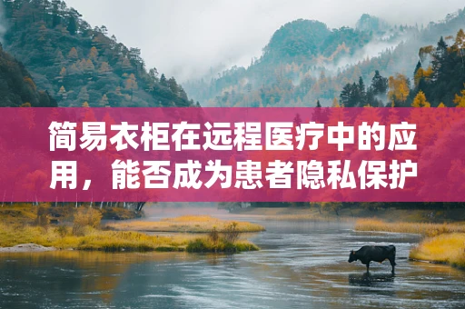 简易衣柜在远程医疗中的应用，能否成为患者隐私保护的‘小秘密’？