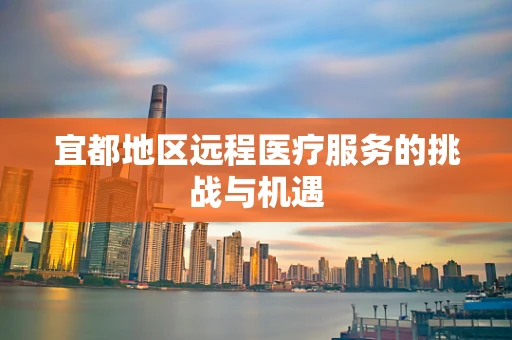宜都地区远程医疗服务的挑战与机遇