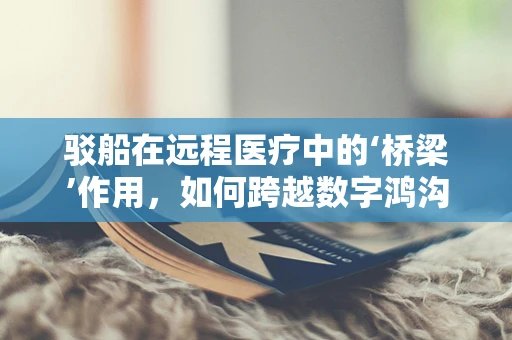 驳船在远程医疗中的‘桥梁’作用，如何跨越数字鸿沟？