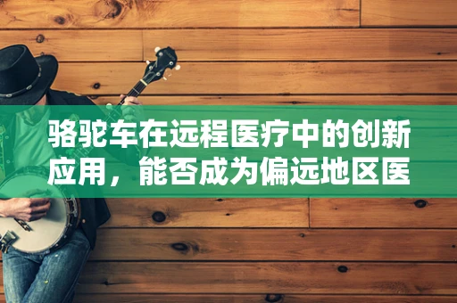 骆驼车在远程医疗中的创新应用，能否成为偏远地区医疗服务的沙漠之舟？