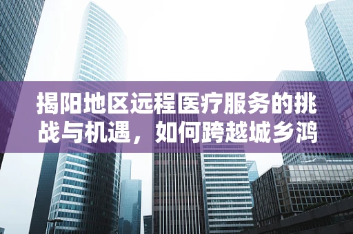 揭阳地区远程医疗服务的挑战与机遇，如何跨越城乡鸿沟？