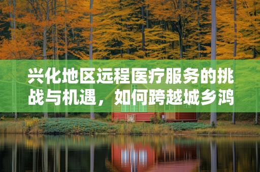 兴化地区远程医疗服务的挑战与机遇，如何跨越城乡鸿沟？