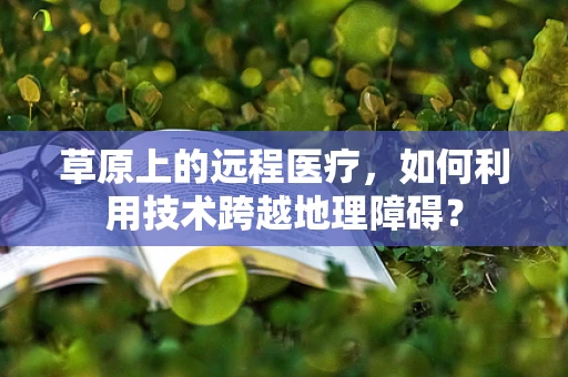 草原上的远程医疗，如何利用技术跨越地理障碍？