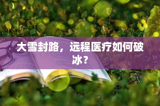 大雪封路，远程医疗如何破冰？