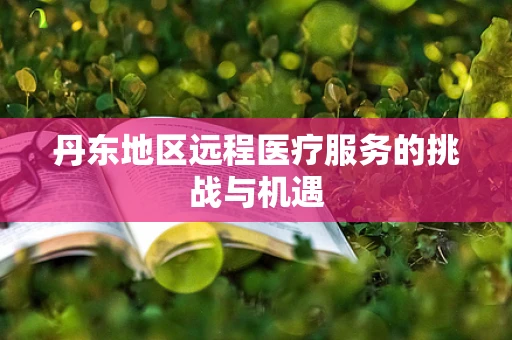 丹东地区远程医疗服务的挑战与机遇