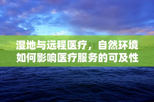 湿地与远程医疗，自然环境如何影响医疗服务的可及性？