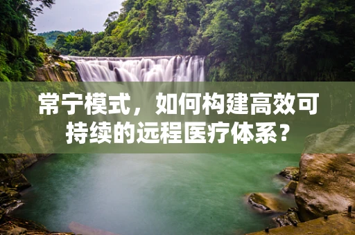 常宁模式，如何构建高效可持续的远程医疗体系？
