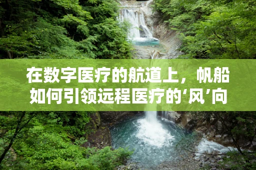 在数字医疗的航道上，帆船如何引领远程医疗的‘风’向标？