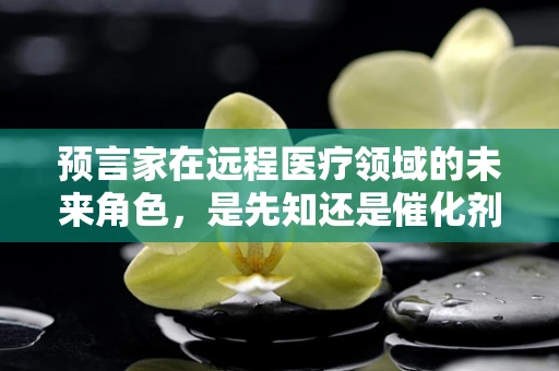 预言家在远程医疗领域的未来角色，是先知还是催化剂？