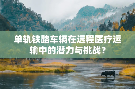 单轨铁路车辆在远程医疗运输中的潜力与挑战？