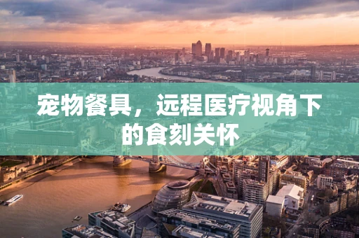 宠物餐具，远程医疗视角下的食刻关怀
