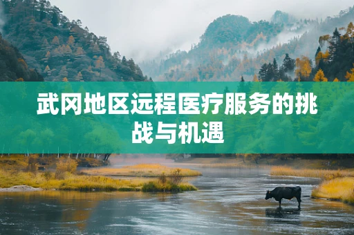 武冈地区远程医疗服务的挑战与机遇