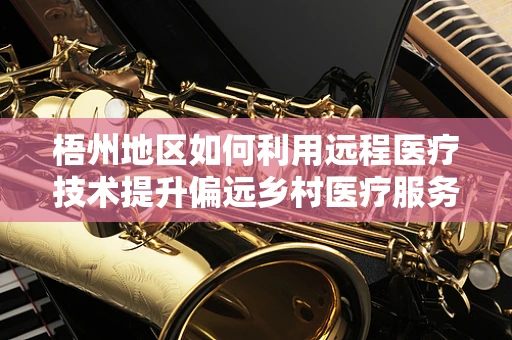 梧州地区如何利用远程医疗技术提升偏远乡村医疗服务？