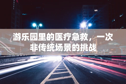 游乐园里的医疗急救，一次非传统场景的挑战