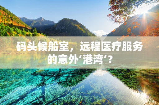 码头候船室，远程医疗服务的意外‘港湾’？