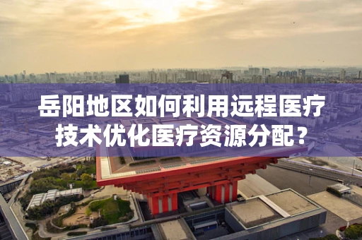 岳阳地区如何利用远程医疗技术优化医疗资源分配？