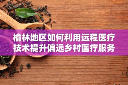 榆林地区如何利用远程医疗技术提升偏远乡村医疗服务质量？